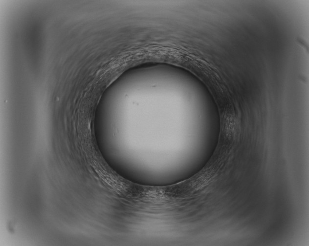 X0000103471489200809121616