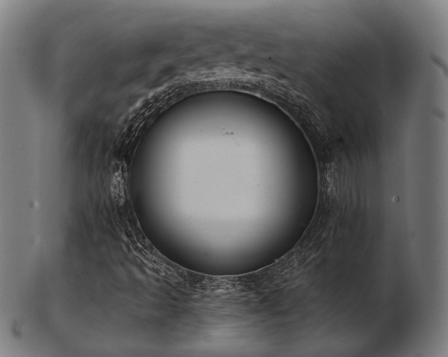 X0000103471493200809121616