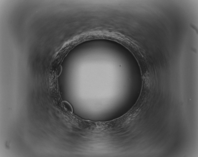 X0000103471494200809121616