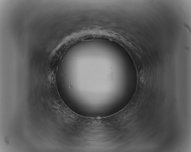 X0000103471495200809121616