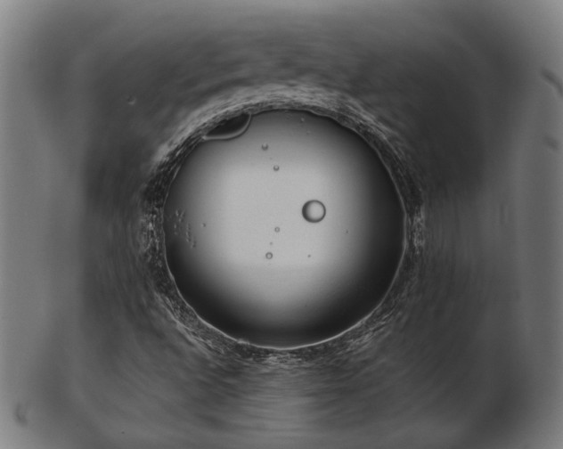 X0000103471496200809121616