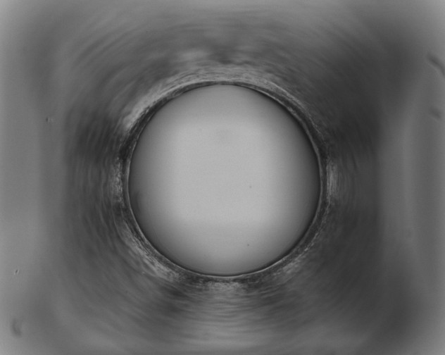 X0000103471498200809121616