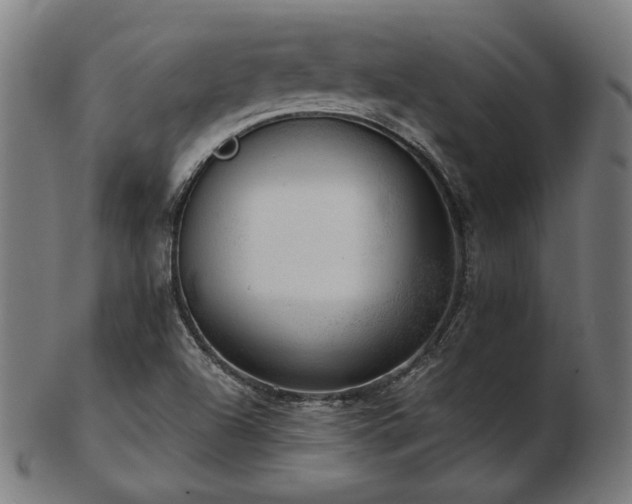 X0000103471504200809121616