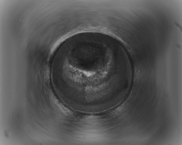 X0000103471506200809121617