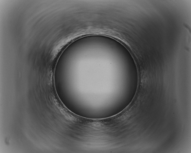 X0000103471507200809121617