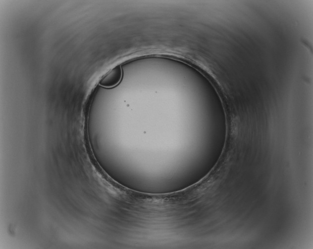 X0000103471508200809121617