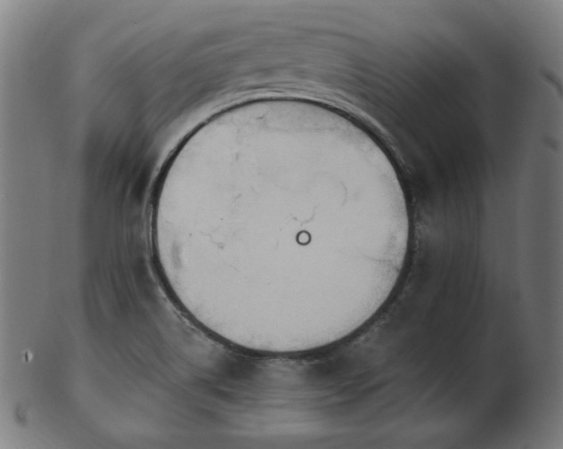 X0000103471514200809121617