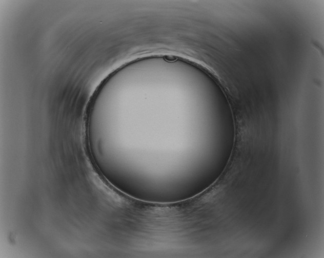 X0000103471518200809121617