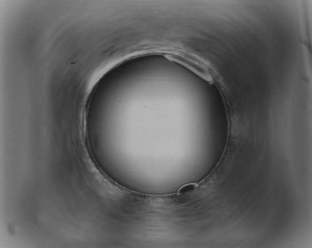 X0000103471520200809121617