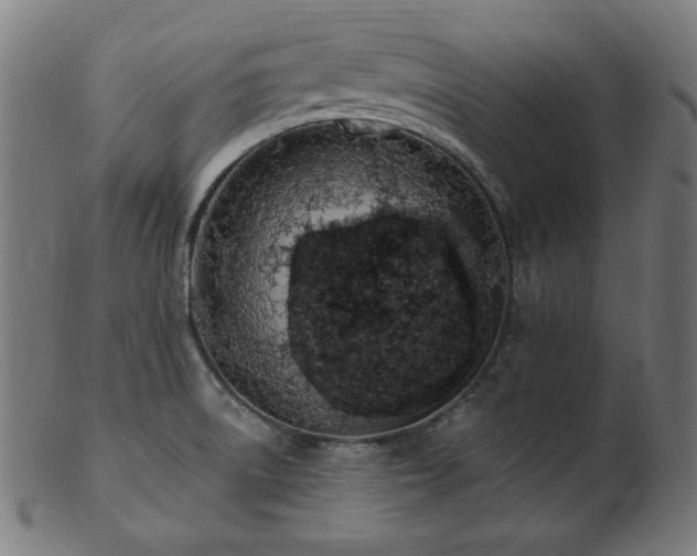 X0000103471522200809121617