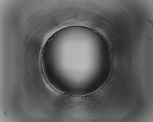 X0000103471528200809121617