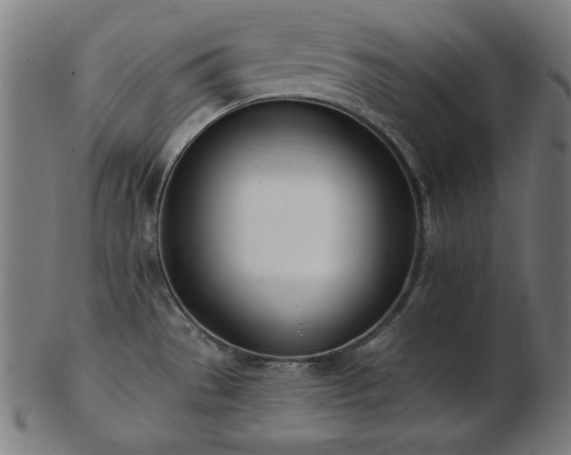 X0000103471529200809121617