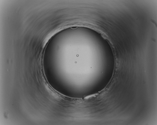 X0000103471530200809121617