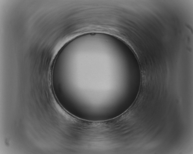 X0000103471531200809121617