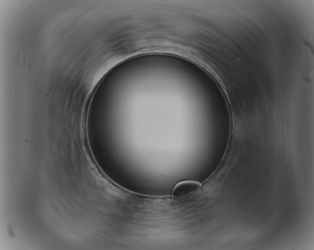 X0000103471533200809121617