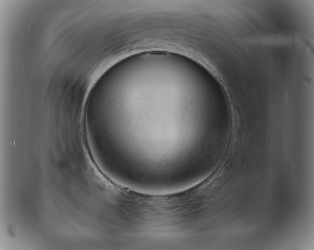 X0000103471536200809121617