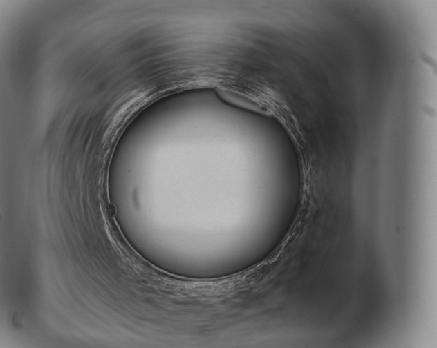 X0000103470001200809191846