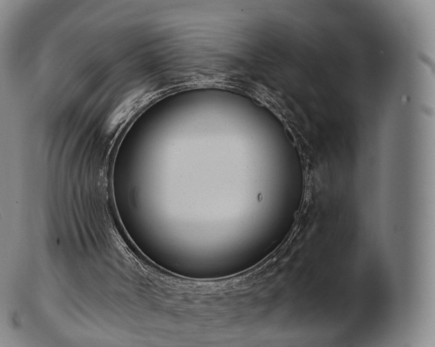 X0000103470002200809191846