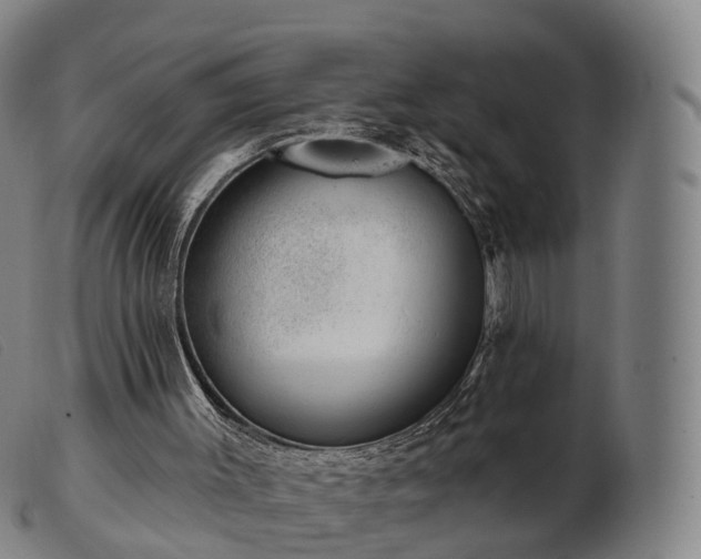 X0000103470003200809191846