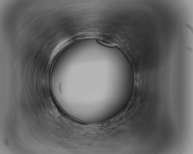 X0000103470004200809191846