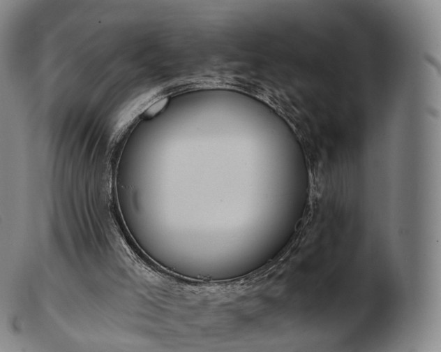 X0000103470005200809191846