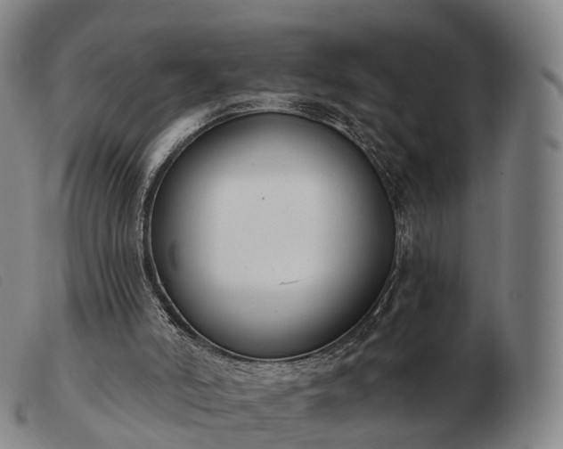 X0000103470006200809191846