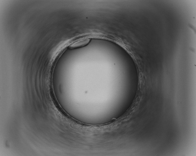 X0000103470007200809191846