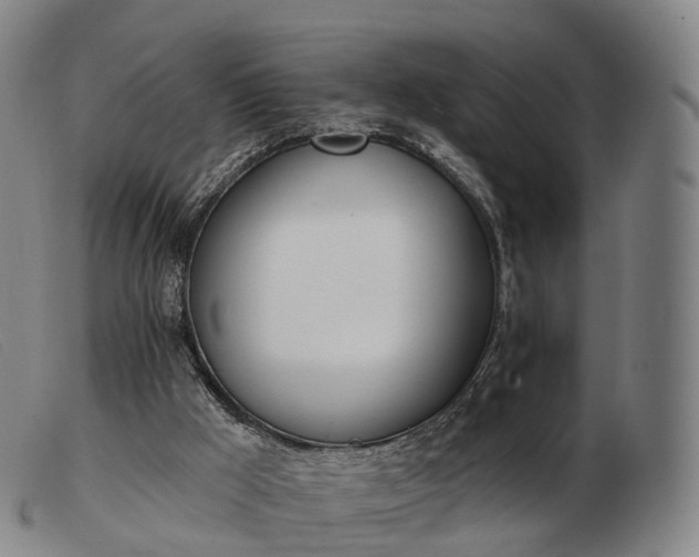 X0000103470009200809191846