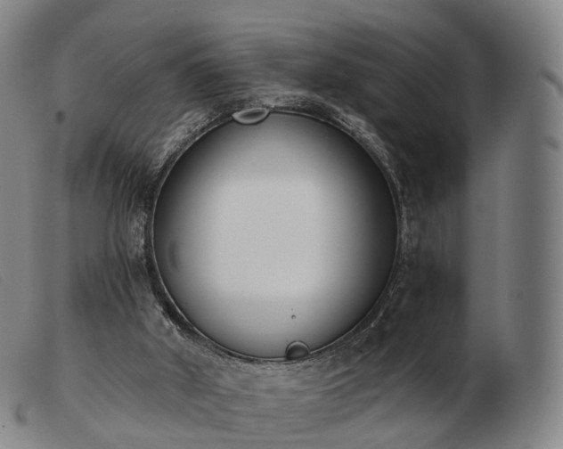 X0000103470010200809191846