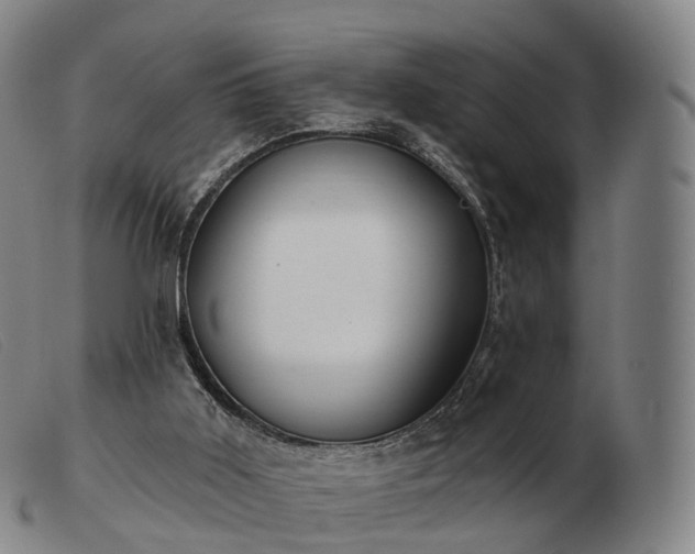 X0000103470011200809191846