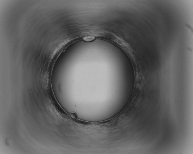 X0000103470012200809191846