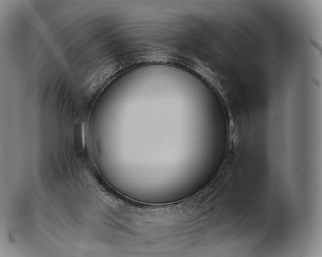 X0000103470013200809191846