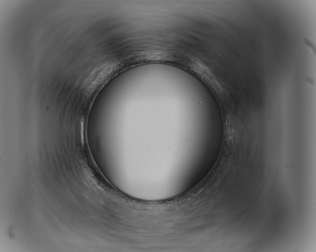 X0000103470014200809191846