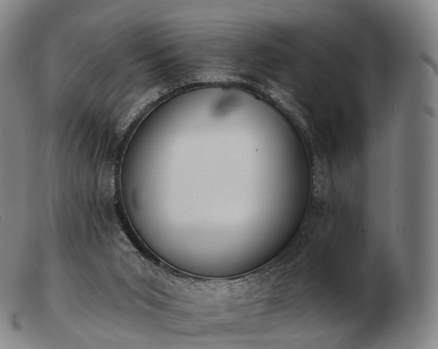 X0000103470015200809191846