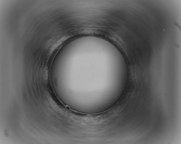 X0000103470016200809191846