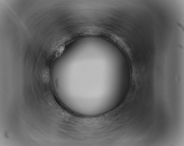 X0000103470017200809191846