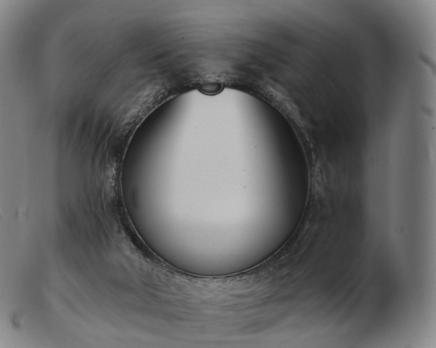 X0000103470018200809191846