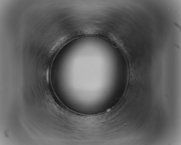 X0000103470019200809191846