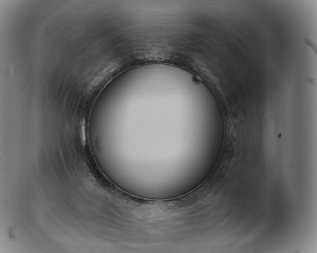 X0000103470020200809191846