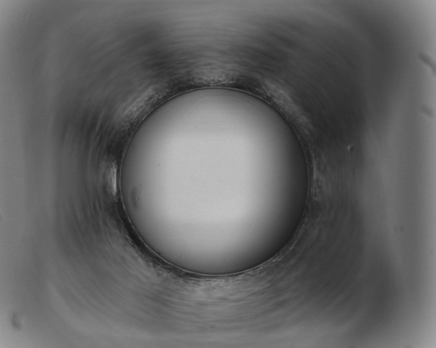 X0000103470021200809191846