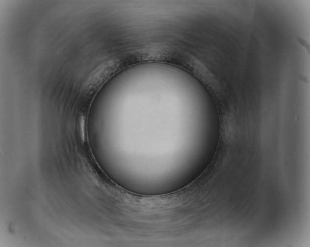 X0000103470022200809191846