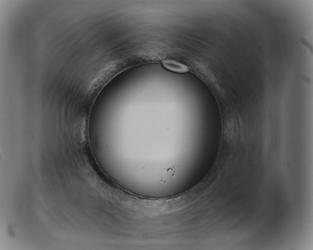 X0000103470023200809191846