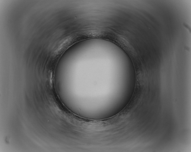 X0000103470024200809191846