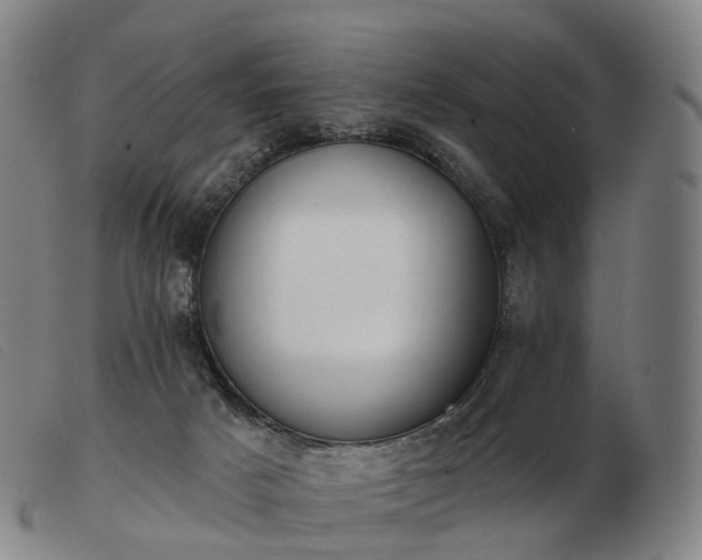 X0000103470025200809191846