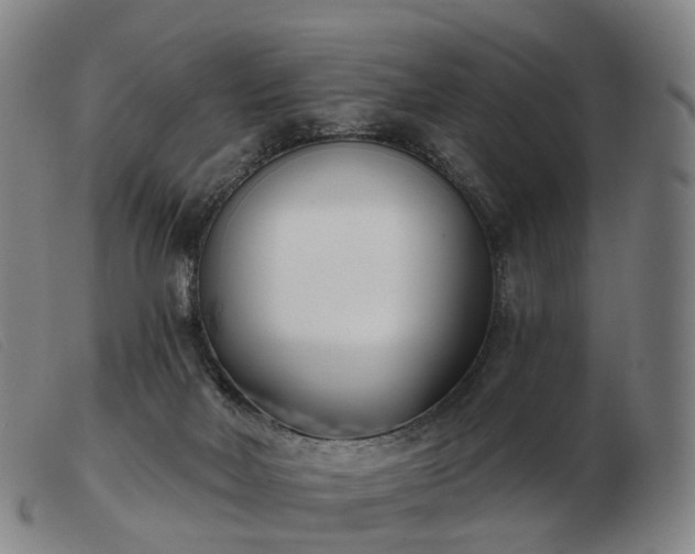 X0000103470026200809191846