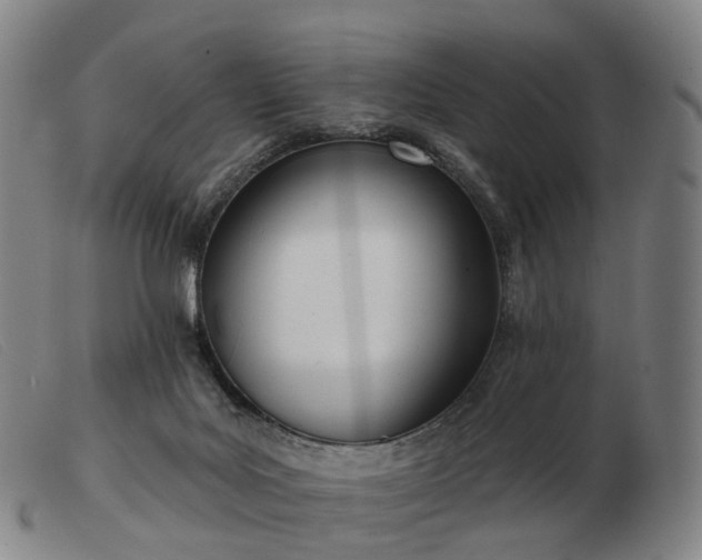 X0000103470027200809191846