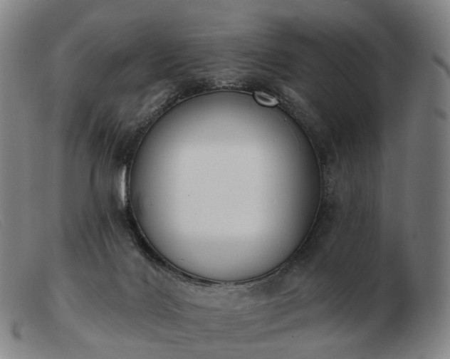 X0000103470028200809191846