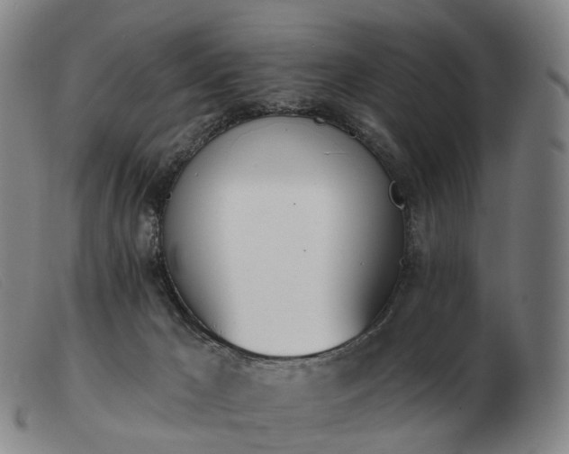 X0000103470029200809191846