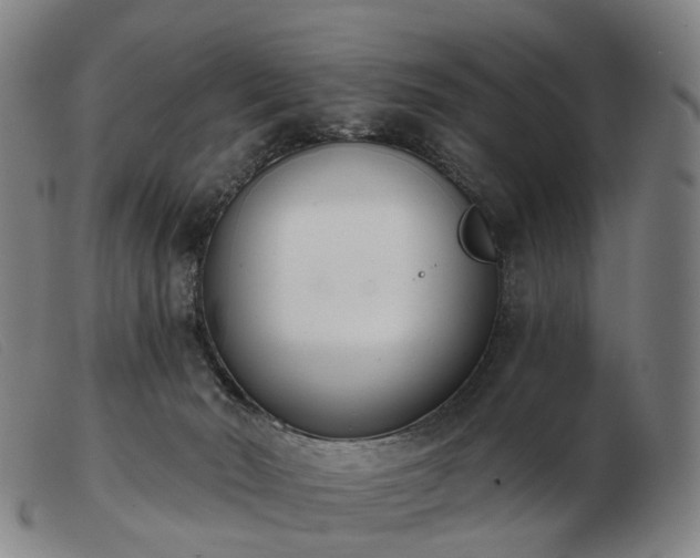 X0000103470030200809191846