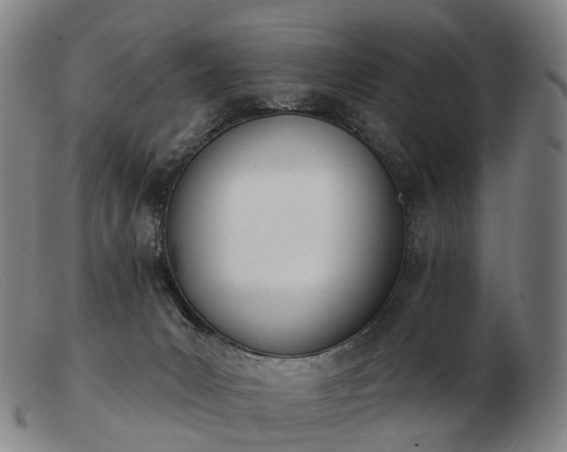 X0000103470031200809191846